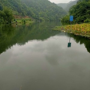 高台镇天合村干溪天气预报