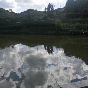 花海生态湖