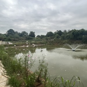 成都海尚桥生态农庄天气预报