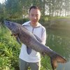 鱼渔同乐亳州野钓第一人