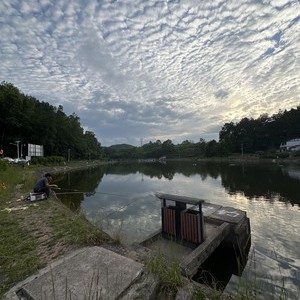 东郡坝钓场天气预报