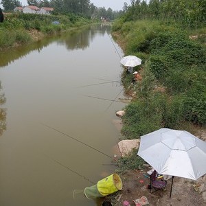 郑河