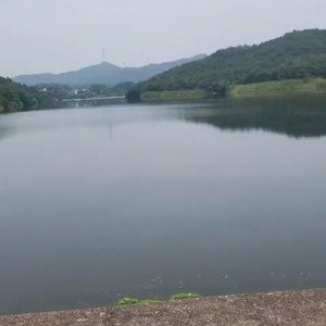 杨村湖水库天气预报