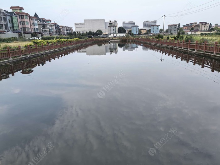 岩峰村鱼塘