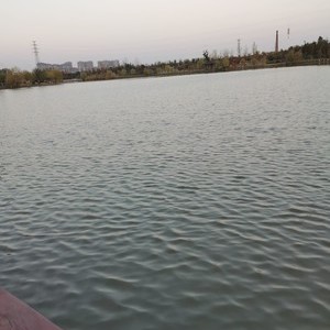 城东湖