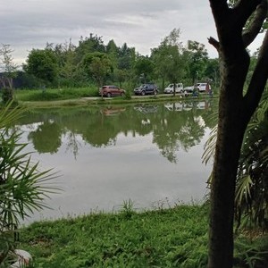 沱江草堂钓场天气预报