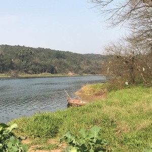 浏阳河车田塅洄水湾