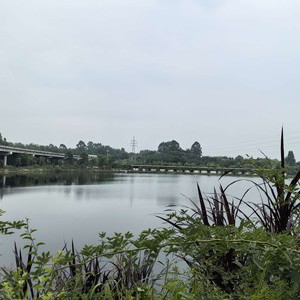 俊源家居农场天气预报