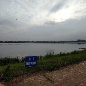 泉河