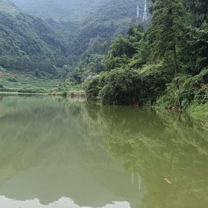 薛家岩水库