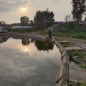 马家岗小圆塘