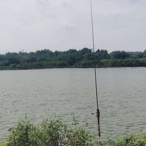 鑫耀生态鱼养殖基地天气预报