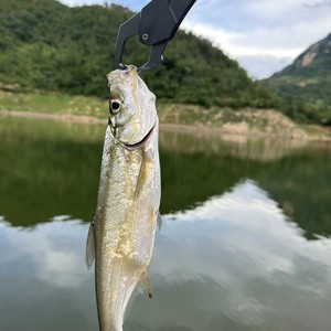 云鹏电站张宏钓场