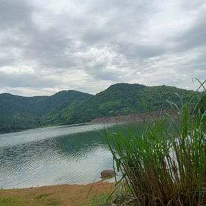 塘溪镇铁沙岭水库天气预报