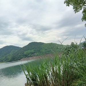 塘溪镇铁沙岭水库