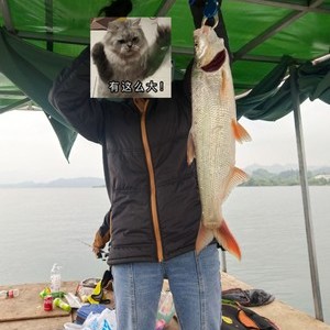 太平湖欣然筏钓/台钓