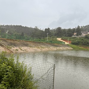 新龙潭鲢鳙钓场