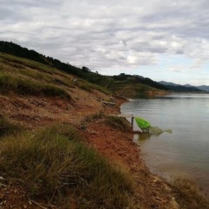 万峰湖阿哩黄金钓场