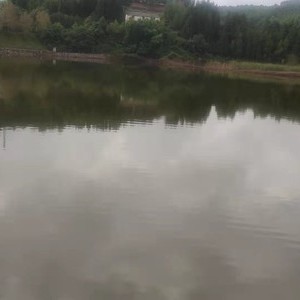 锦屏人工湖