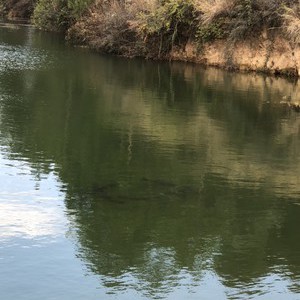 吕合石板河水库