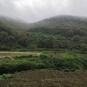 落窝寺钓场