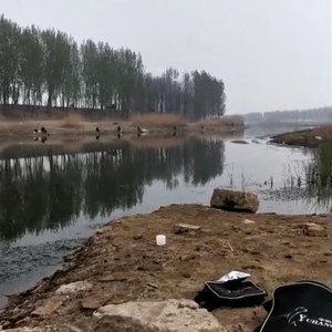中亭河天气预报
