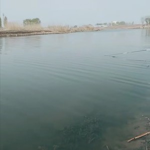 中亭河