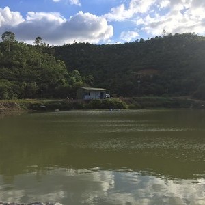 山水钓场