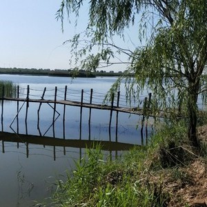 东坝湿地生态园