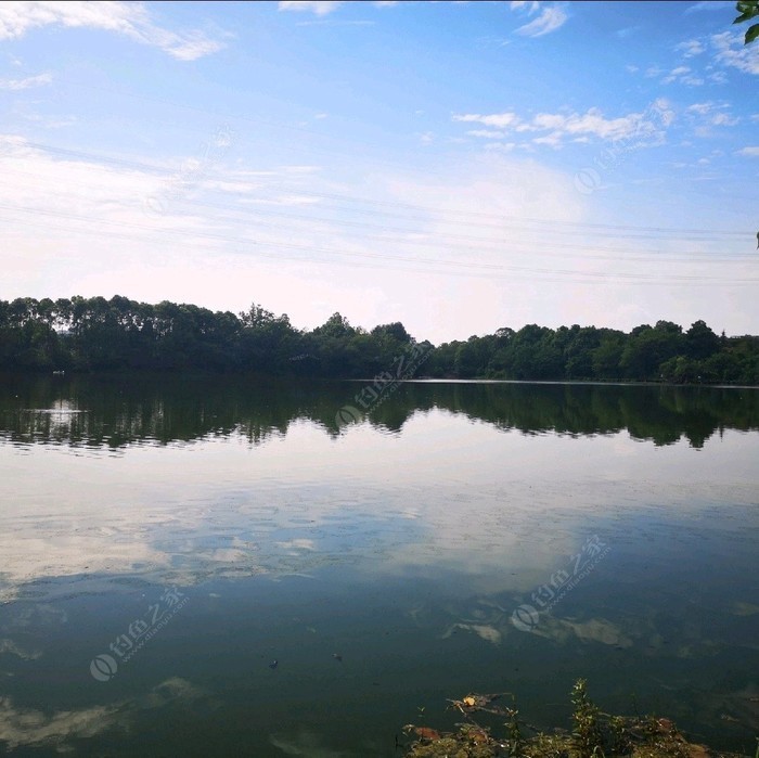 江安湖湿地公园图片