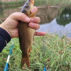 咸河祁家湾段