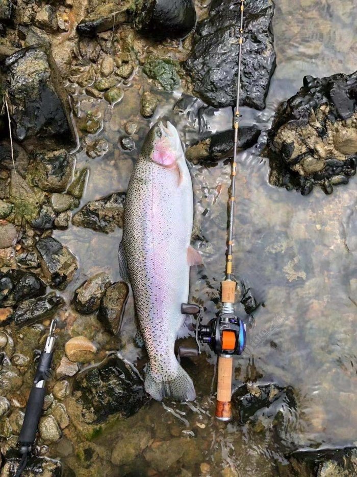 論壇 路亞釣法 路亞中魚簡簡單單,不可能總有魚,打龜也是常態來自