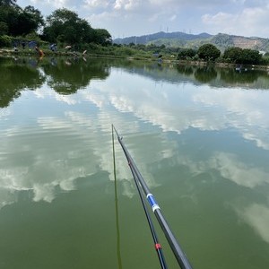 深圳光明葡萄园钓场