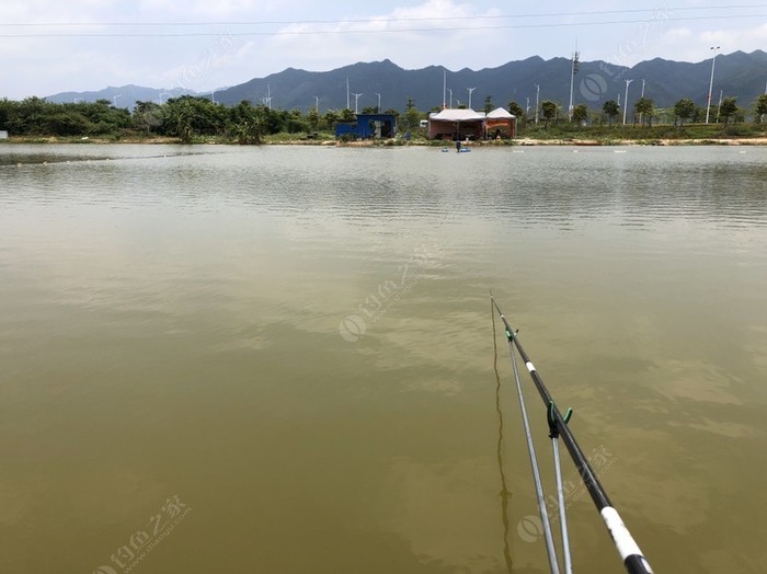老王釣魚場