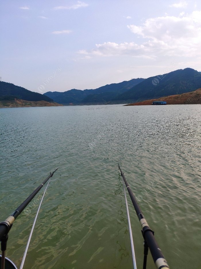 万峰湖钓鱼新政策图片