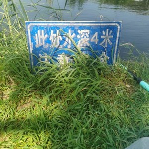 王庄水库