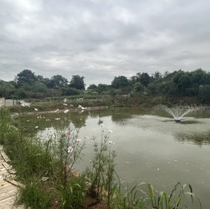 成都海尚桥生态农庄