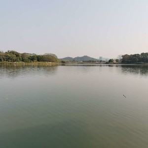 松山湖阳光沙滩钓场