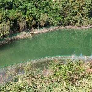 盐井口水库