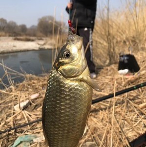 永定河