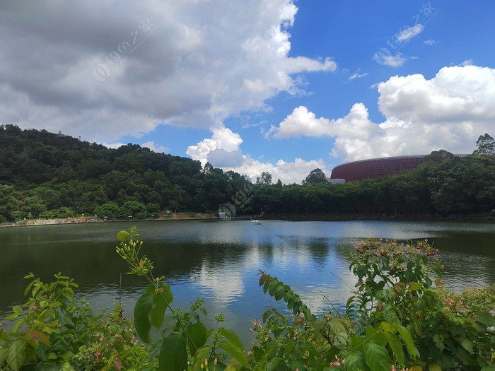 龙岗美峪钓鱼场