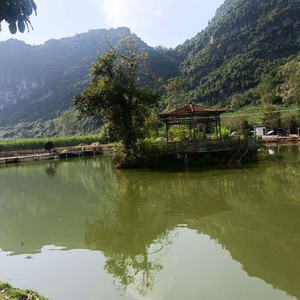 驮逐三个塘垂钓休闲基地天气预报