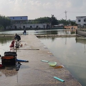 水上漂垂钓园