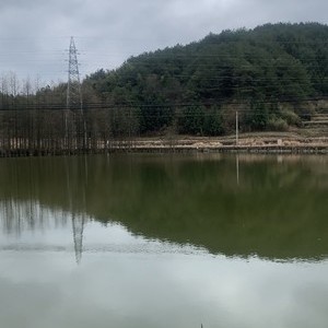 乔亭湖