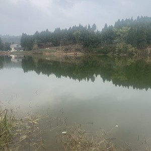 小堰村水库