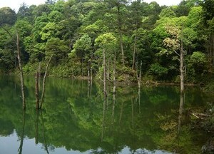 竖旗山水库天气预报