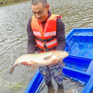 稻田洼乡呱呱旺生态农业有限公司天气预报