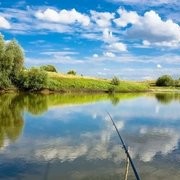 秋季钓鱼，到底是钓浅水还是钓深水？