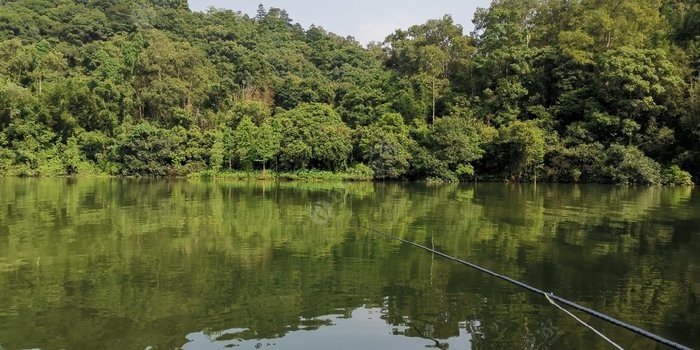 几个月没到流溪河钓鱼了