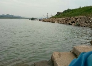 西江河天气预报